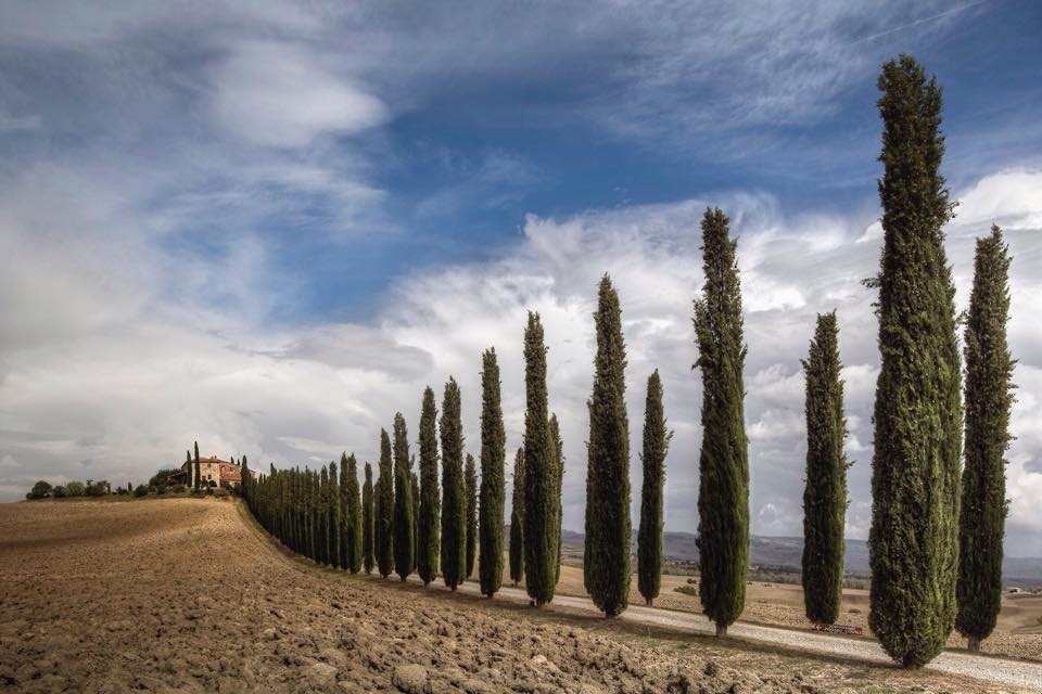 la mano sul capo